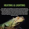 Fluker's Repta-Clamp Lamp with Switch for Reptiles, 8.5"