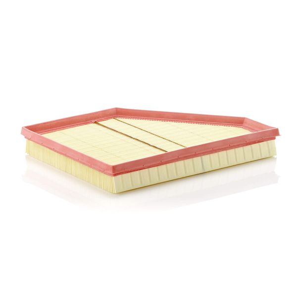 Mann Filter C30901 Air Filter