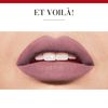 Bourjois lipstick 18 rouge velvet 2.4g