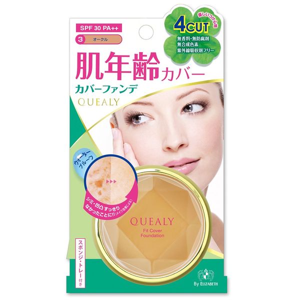 Query Fit Cover Foundation 3