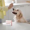 PE Hemotect, 60 Tablets, For Dogs and Cats