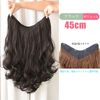 SATPULOT Neckline Wig, One-Touch Extension, Neck Wig, U-Shaped, 17.7 - 23.6 inches (45 - 60 cm), Clip, Removable, Natural, Heat Resistant, Iron, Hair Color, High Tone, Gal