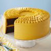 Wilton Cake Icing Smoother
