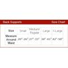 Back Support Brace Belt Lumbar Waist Double Adjust by Flexibrace ® (X Large)