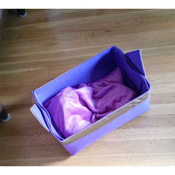 Kitten Cat Toy Cat Bed Starter Kit - Purple