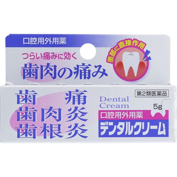 【第2類医薬品】デンタルクリーム 5g ×5