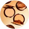 T.LeClerc Bronzing & Sculpting Face Sun Powder - Matte Finish - Gold 17 g - Vegan - Tested Under Dermatological Control - Bronzing Face Powder - Bronzer - Made in France