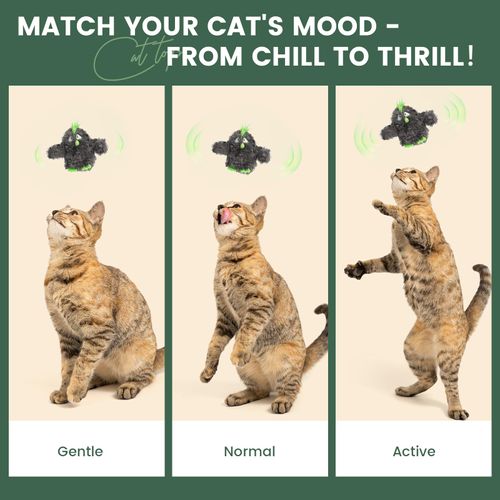 Flappy Bird Cat Toy for Kittens Under 6 Months and Indoor Cats – Touch Activated with Realistic Flapping Wings and Chirping – USB Rechargeable Hanging Flying Bird Cat Toy for Interactive Playtime