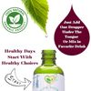 Dandelion Leaf Extract Non-Alcohol Organic Liquid Herbal Liver Digestive 2oz