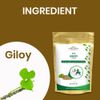Giloy Powder - 100% Pure Extract for Immunity & Illness Support