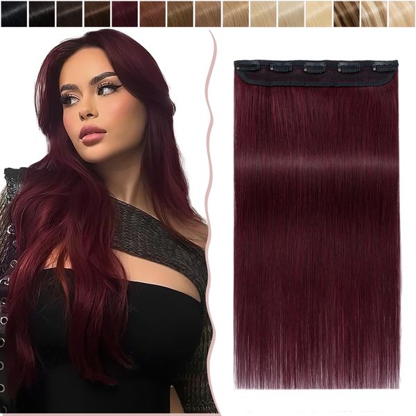 22 inch SEGO Clip in Hair Extension Human Hair One Piece [#99J Wine Red] 100% Remy Real Hairpieces for Women 3/4 Full Head Straight (55g)