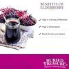 Buried Treasure Elderberry ACF 16 oz, Immune Support