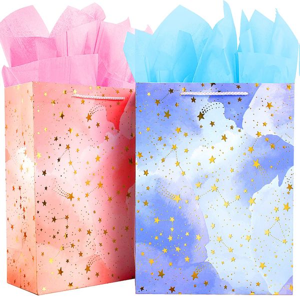 Gift Bag Small Gift Bags Set,2 Gift Bags with FREE Tissue Paper-Birthday Gift Bag with Handles,Paper Gift Bags for Present Bag,Pink Blue Gift Bags for Women Men Kid Boy Girl Gift Wrap Bag Birthday Bag