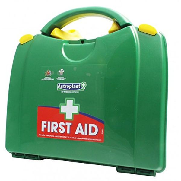 Wallace Cameron 1002279 First Aid Kit Box for 20 Persons, Green