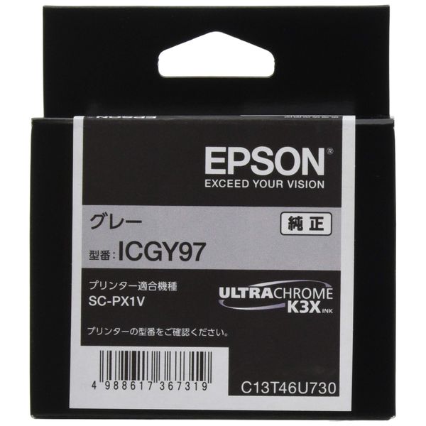 Genuine Epson ICGY97 Ink Cartridge, Gray, Small, Gray (Small)