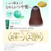 Rishiri Hair Color Treatment Shiny Plus (Dark Brown) + Horse Hair Brush &amp; Comb for Color Care
