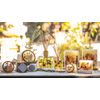 Rosy Rings Botanical Reed Diffuser Roman Lavender 13oz - Lasts 6-12 Months, Aromatherapy Diffuser, Reed Diffuser Sticks, Diffuser with Botanicals Perfect for Home Decor!