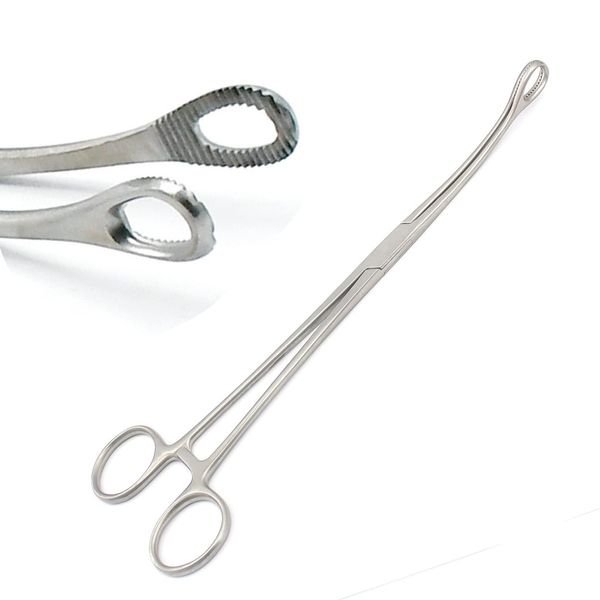 One Piece of Sponge Forceps 10" Curved