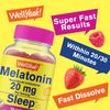 WellYeah Melatonin Gummies 20mg - Sleep Support - 60 Count
