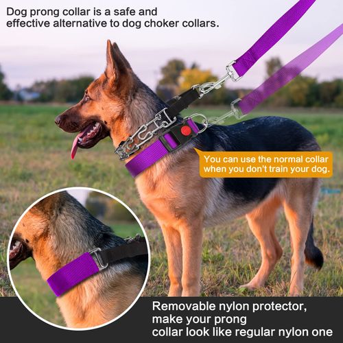 Dog Prong Training Collar, Dog Choke Pinch Collar with Nylon Cover Comfort Tips and Quick Release Snap Buckle, Dog Classic Collar and Dog Leash for Small Medium Large Dogs