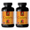 Cranberry Extract 50:1 252mg - Bladder Health - Urinary Tract Vitamin C - 2B