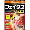 【第2類医薬品】フェイタス5.0温感 10枚 ×4