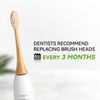 PONPACE Biodegradable Philips Sonicare Compatible Toothbrush Heads, Bamboo Electric Toothbrush Replacement Heads with Plant-Based Bristle 4 Pack (Waved Soft Bristle)