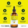 2pk Mullein Drops for Lungs Cleanse - Organic Mullein Leaf Turmeric Extract 4oz