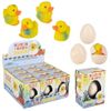 Rhode Island Novelty Small Hatch and Grow Duck Egg 12 Pack