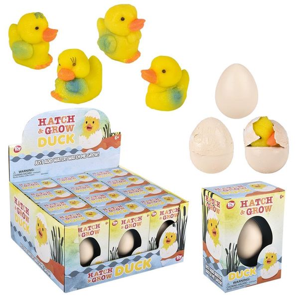 Rhode Island Novelty Small Hatch and Grow Duck Egg 12 Pack