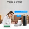 Tebbomp Tuya Tuya 16A Smart Switch Zigbee Cassette Switch APP Mobile Phone Remote Voice Timing