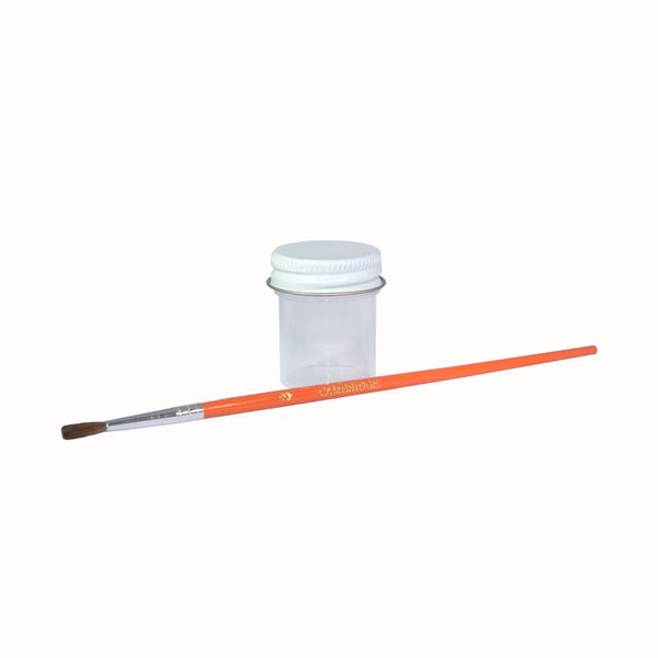 Scion XB 68 Polar White Professional Touch Up Paint Kit