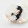 Hansa 8139 House Mouse Panda 16 cm.L
