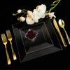 9.5 Disposable Fancy Square Clear Plastic Lunch/Dinner Plates Splendid 40pcs