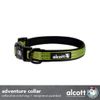Alcott Adventure Explorer Collar, Medium, Green