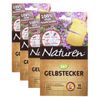 Naturen Gelbstecker - 60 St.