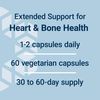 Life Extension Extend-Release Magnesium, 60 Vegetarian Capsules