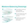 Kerralite Cool Border Adhesive Dressing 8cm x 8cm (x5)