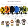 Silent Runner Pro Blue - Durable Pet Exercise Wheel with Stand
