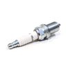 OEM Champion Spark Plug for Generac OE6037 Generator Heater Pump Small Engine Motor