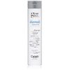 Gem Lites SHINEWASH SHAMPOO, 8.25 oz. by GEM LITES