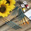 Royal Brush Gold Taklon Value Pack Brush Set