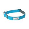 Doodlebone Padded Collar, Aqua, 6-11