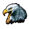 GT Graphics Bald Eagle - 12" Vinyl Sticker Waterproof Decal