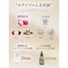 Zinia           40ml