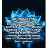 Egyptian Blue Lotus Oil (60 ml)