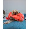 Fluff & Tuff Manny Lobster