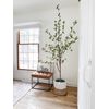 6.5’ Artificial Citrus Minimalist Tree Home Decor. Retail $248
