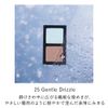 Kanebo Eye Color Duo 25 [Eye Shadow]