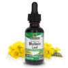 Natures Answer - Mullein Leaf - 30ml